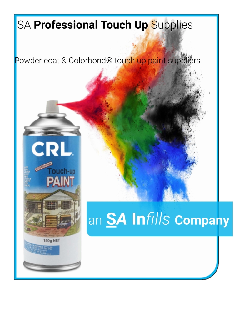 Pro Paint Front Page